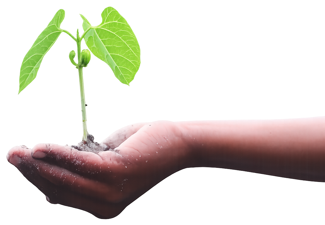 Growth hand reaching out with a plant